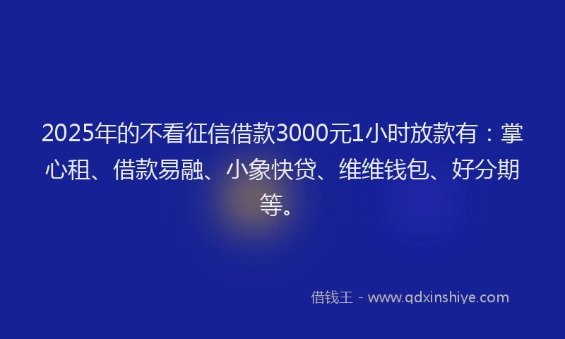 2025年的不看征信借款3000元1小时放款有：掌心租、借款易融、小象快贷、维维钱包、好分期等。
