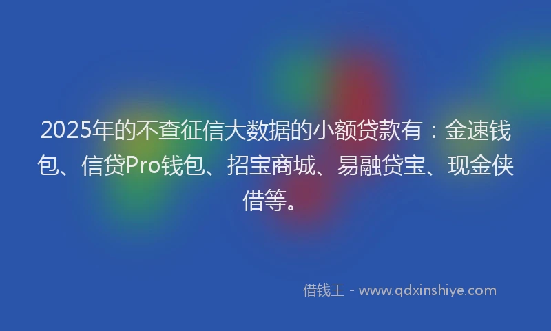 2025年的不查征信大数据的小额贷款有：金速钱包、信贷Pro钱包、招宝商城、易融贷宝、现金侠借等。
