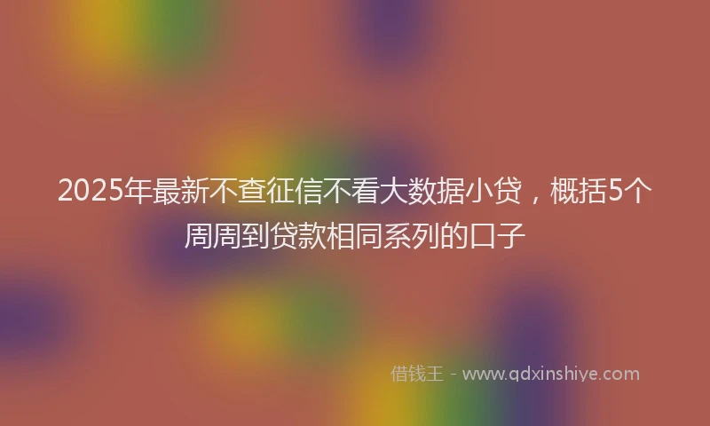2025年最新不查征信不看大数据小贷，概括5个周周到贷款相同系列的口子