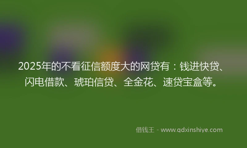 2025年的不看征信额度大的网贷有：钱进快贷、闪电借款、琥珀信贷、全金花、速贷宝盒等。