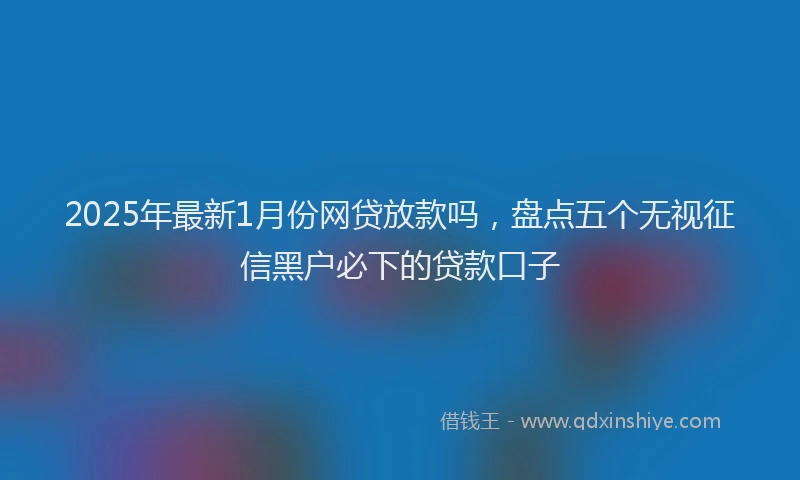 2025年最新1月份网贷放款吗，盘点五个无视征信黑户必下的贷款口子
