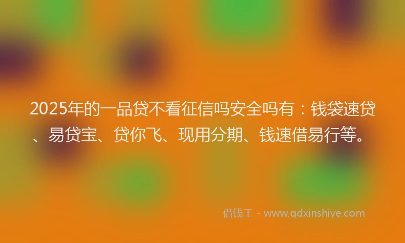 2025年的一品贷不看征信吗安全吗有：钱袋速贷、易贷宝、贷你飞、现用分期、钱速借易行等。