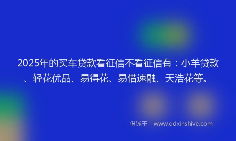 2025年的买车贷款看征信不看征信有：小羊贷款、轻花优品、易得花、易借速融、天浩花等。