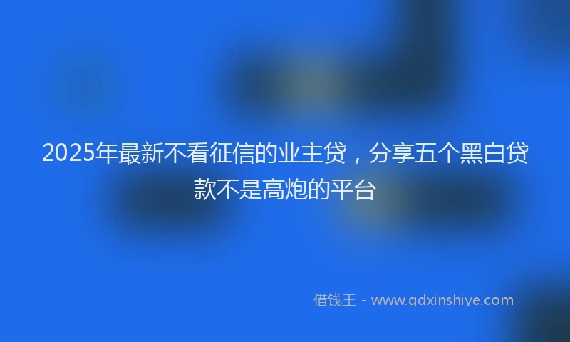 2025年最新不看征信的业主贷，分享五个黑白贷款不是高炮的平台