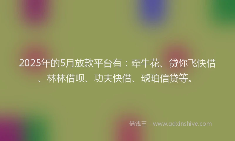 2025年的5月放款平台有：牵牛花、贷你飞快借、林林借呗、功夫快借、琥珀信贷等。