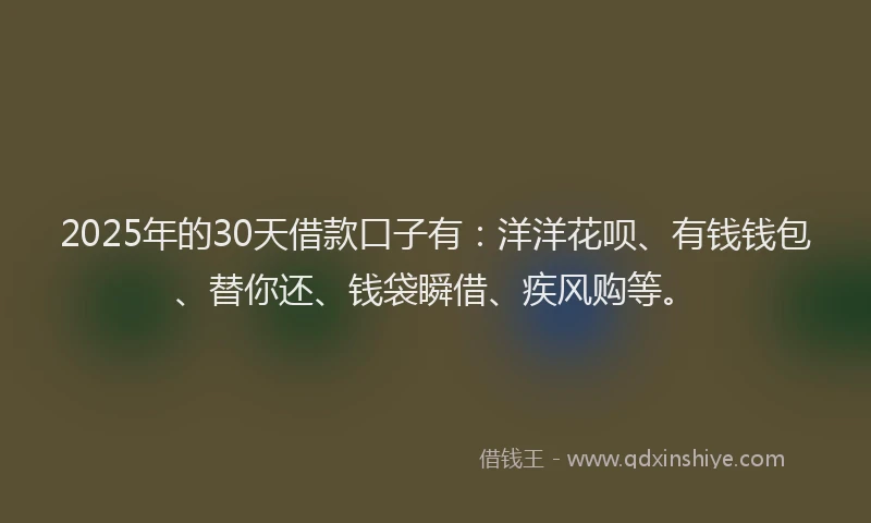 2025年的30天借款口子有：洋洋花呗、有钱钱包、替你还、钱袋瞬借、疾风购等。