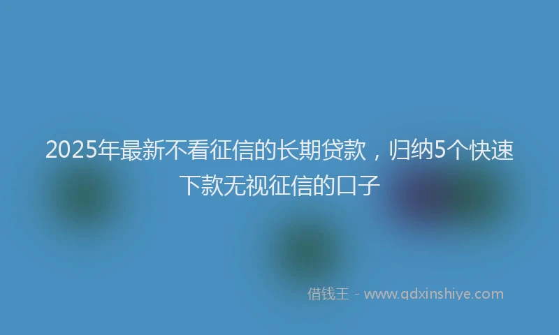 2025年最新不看征信的长期贷款，归纳5个快速下款无视征信的口子
