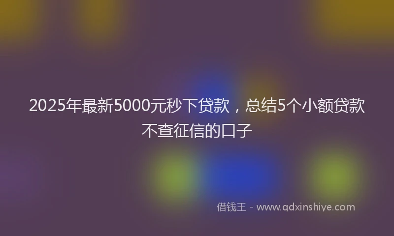 2025年最新5000元秒下贷款，总结5个小额贷款不查征信的口子
