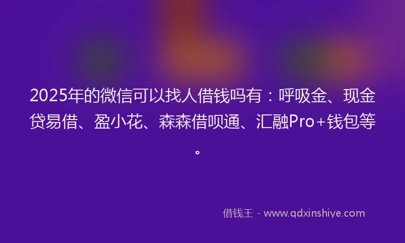 2025年的微信可以找人借钱吗有：呼吸金、现金贷易借、盈小花、森森借呗通、汇融Pro+钱包等。