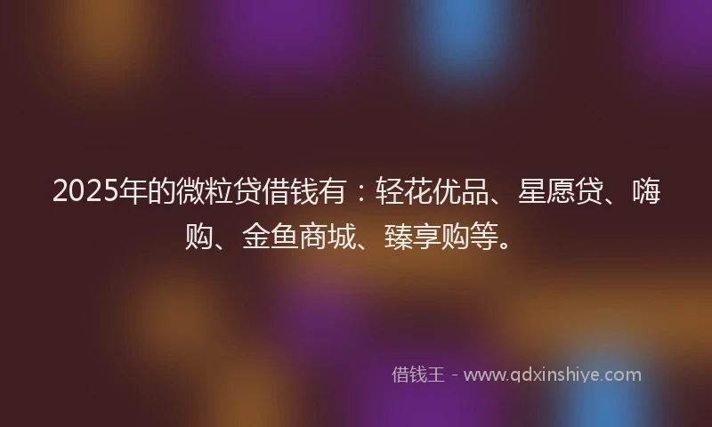2025年的微粒贷借钱有：轻花优品、星愿贷、嗨购、金鱼商城、臻享购等。