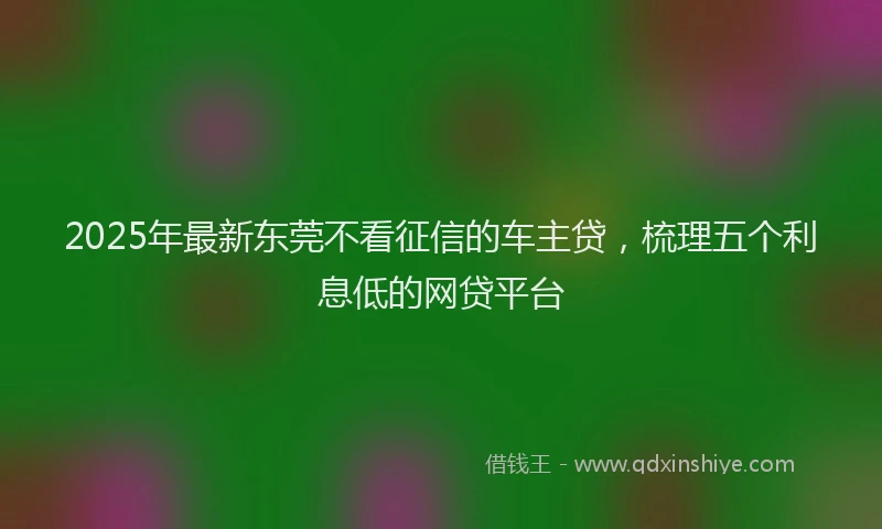 2025年最新东莞不看征信的车主贷，梳理五个利息低的网贷平台