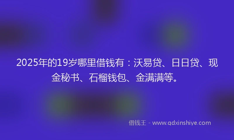 2025年的19岁哪里借钱有：沃易贷、日日贷、现金秘书、石榴钱包、金满满等。