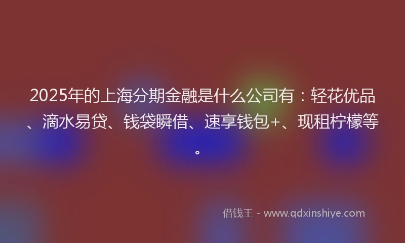 2025年的上海分期金融是什么公司有：轻花优品、滴水易贷、钱袋瞬借、速享钱包+、现租柠檬等。