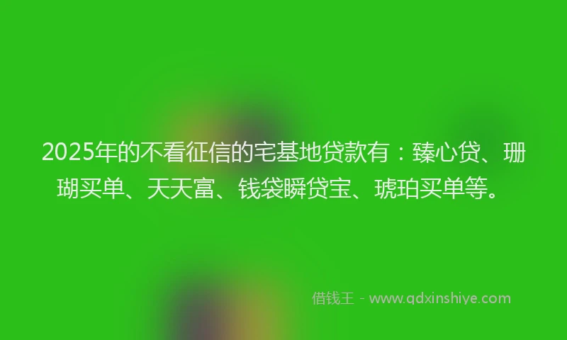 2025年的不看征信的宅基地贷款有：臻心贷、珊瑚买单、天天富、钱袋瞬贷宝、琥珀买单等。