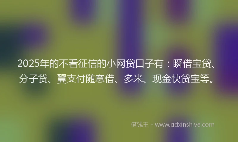2025年的不看征信的小网贷口子有：瞬借宝贷、分子贷、翼支付随意借、多米、现金快贷宝等。