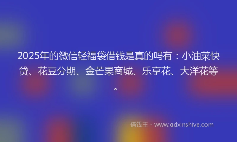 2025年的微信轻福袋借钱是真的吗有：小油菜快贷、花豆分期、金芒果商城、乐享花、大洋花等。