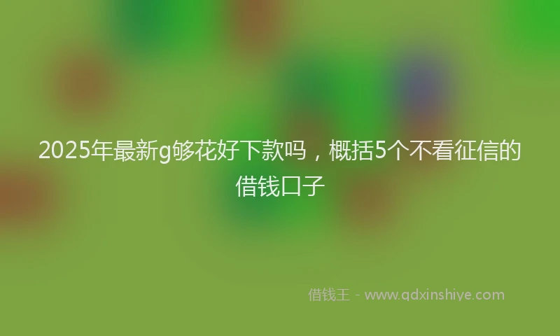 2025年最新g够花好下款吗，概括5个不看征信的借钱口子