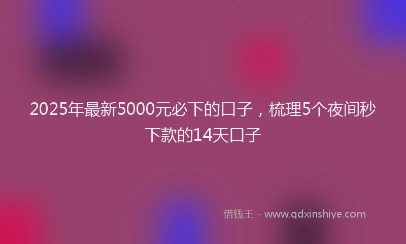 2025年最新5000元必下的口子，梳理5个夜间秒下款的14天口子