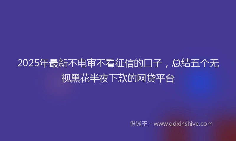 2025年最新不电审不看征信的口子，总结五个无视黑花半夜下款的网贷平台