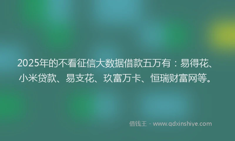 2025年的不看征信大数据借款五万有：易得花、小米贷款、易支花、玖富万卡、恒瑞财富网等。