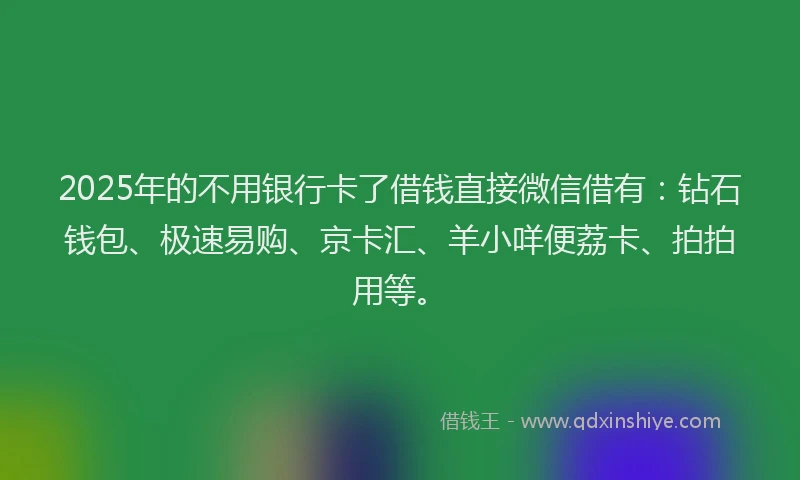 2025年的不用银行卡了借钱直接微信借有：钻石钱包、极速易购、京卡汇、羊小咩便荔卡、拍拍用等。