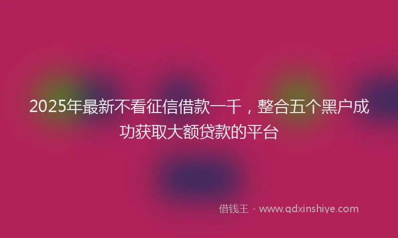 2025年最新不看征信借款一千，整合五个黑户成功获取大额贷款的平台