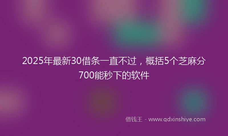 2025年最新30借条一直不过，概括5个芝麻分700能秒下的软件