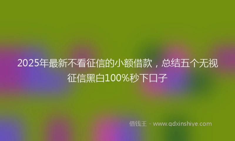 2025年最新不看征信的小额借款，总结五个无视征信黑白100%秒下口子