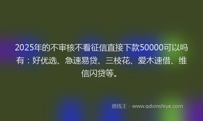 2025年的不审核不看征信直接下款50000可以吗有：好优选、急速易贷、三枝花、爱木速借、维信闪贷等。
