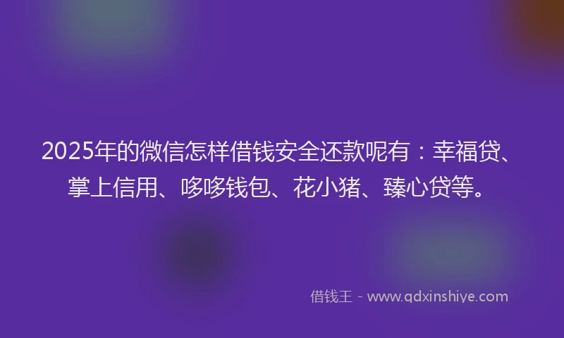 2025年的微信怎样借钱安全还款呢有：幸福贷、掌上信用、哆哆钱包、花小猪、臻心贷等。