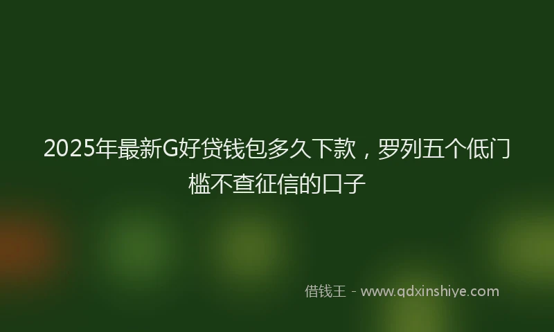 2025年最新G好贷钱包多久下款，罗列五个低门槛不查征信的口子