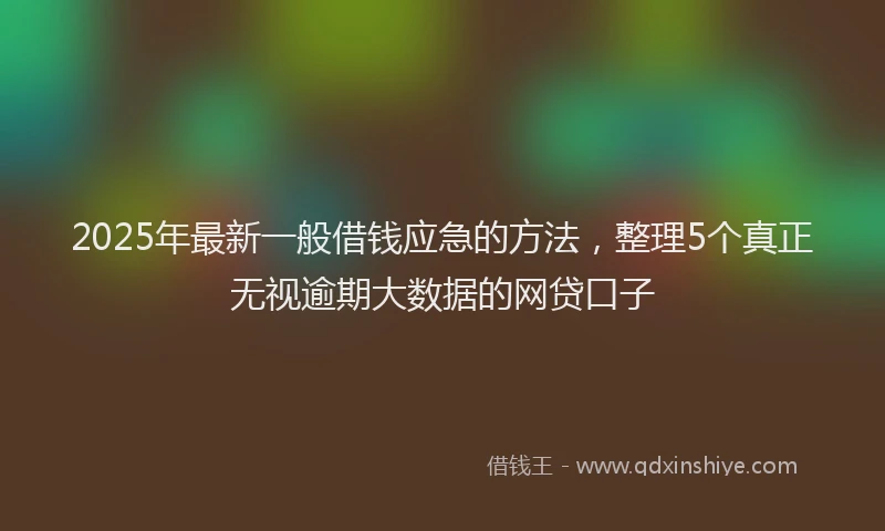 2025年最新一般借钱应急的方法，整理5个真正无视逾期大数据的网贷口子