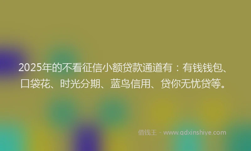 2025年的不看征信小额贷款通道有：有钱钱包、口袋花、时光分期、蓝鸟信用、贷你无忧贷等。