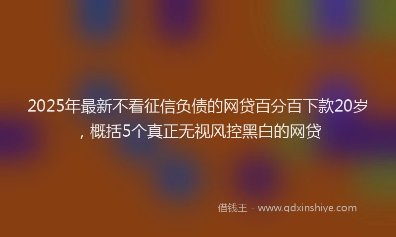 2025年最新不看征信负债的网贷百分百下款20岁，概括5个真正无视风控黑白的网贷