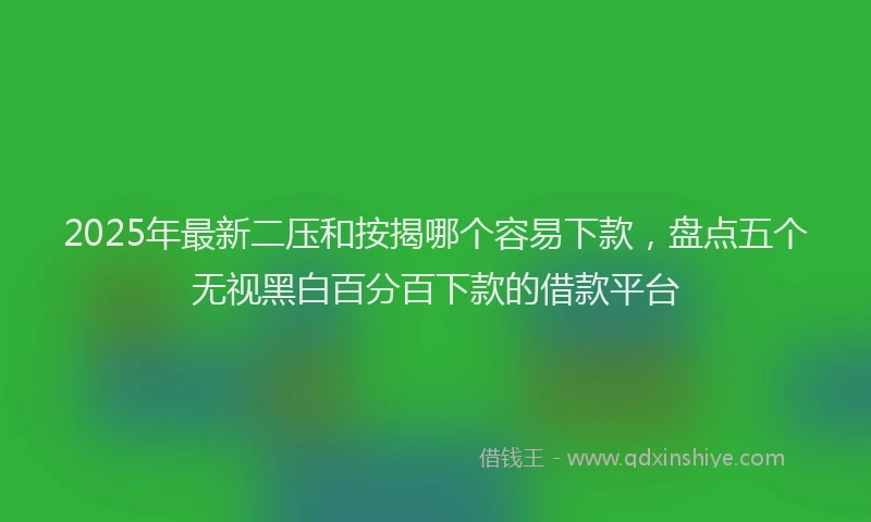 2025年最新二压和按揭哪个容易下款，盘点五个无视黑白百分百下款的借款平台