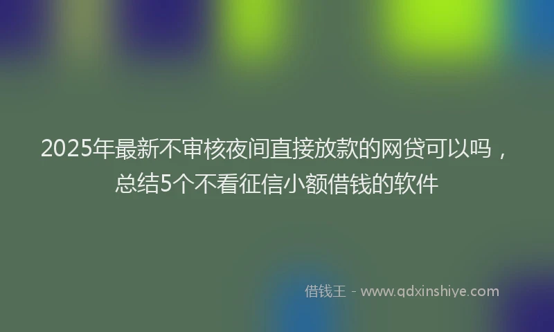 2025年最新不审核夜间直接放款的网贷可以吗，总结5个不看征信小额借钱的软件