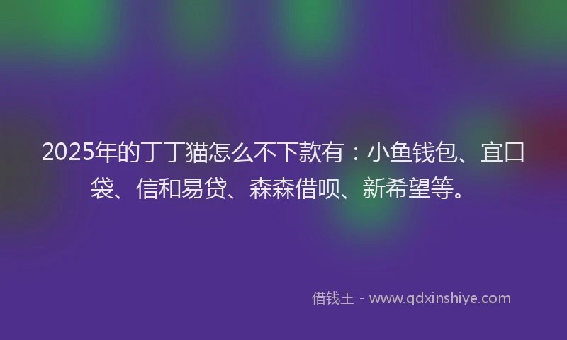 2025年的丁丁猫怎么不下款有：小鱼钱包、宜口袋、信和易贷、森森借呗、新希望等。