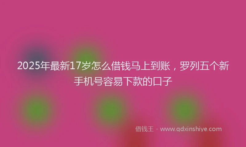 2025年最新17岁怎么借钱马上到账，罗列五个新手机号容易下款的口子