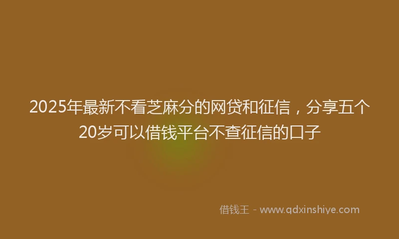 2025年最新不看芝麻分的网贷和征信，分享五个20岁可以借钱平台不查征信的口子