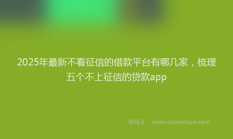 2025年最新不看征信的借款平台有哪几家，梳理五个不上征信的贷款app