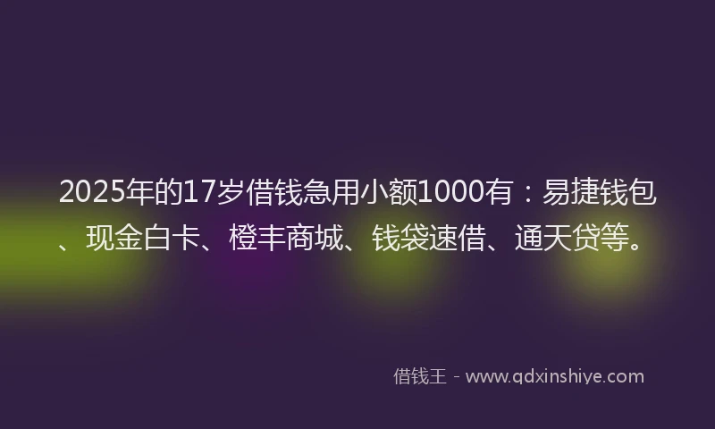 2025年的17岁借钱急用小额1000有：易捷钱包、现金白卡、橙丰商城、钱袋速借、通天贷等。