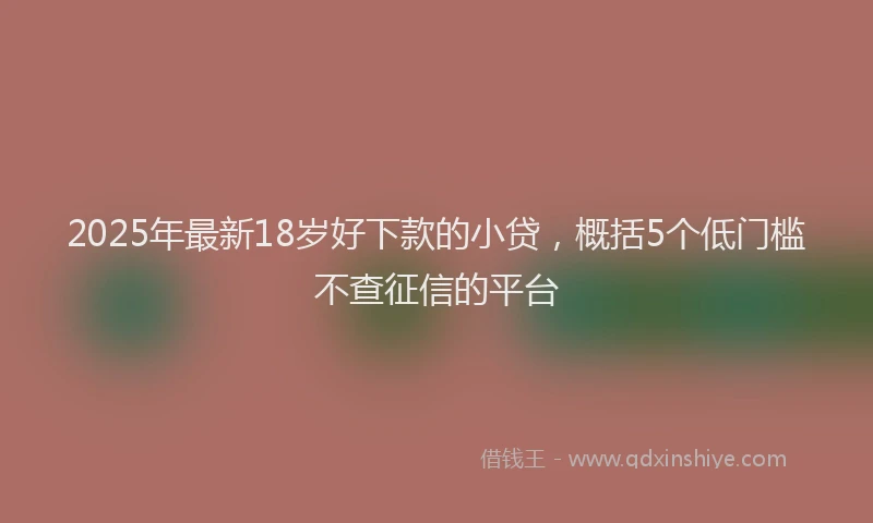 2025年最新18岁好下款的小贷，概括5个低门槛不查征信的平台