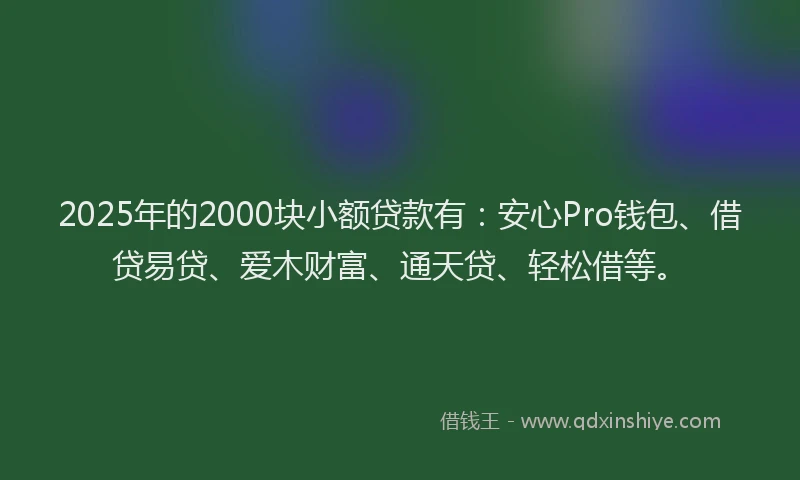 2025年的2000块小额贷款有：安心Pro钱包、借贷易贷、爱木财富、通天贷、轻松借等。