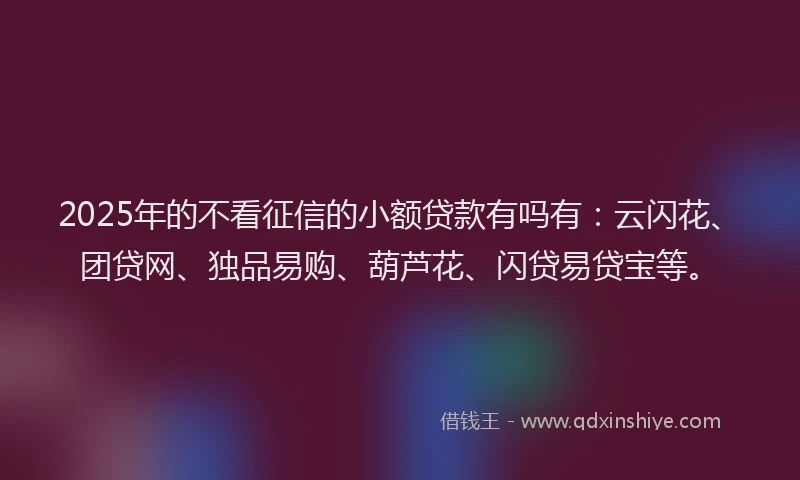 2025年的不看征信的小额贷款有吗有：云闪花、团贷网、独品易购、葫芦花、闪贷易贷宝等。