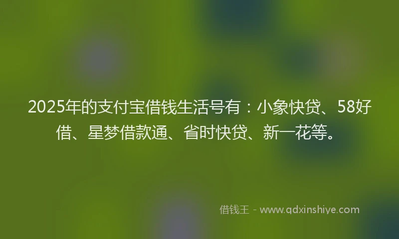 2025年的支付宝借钱生活号有：小象快贷、58好借、星梦借款通、省时快贷、新一花等。