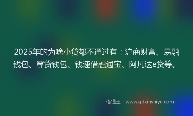 2025年的为啥小贷都不通过有：沪商财富、易融钱包、翼贷钱包、钱速借融通宝、阿凡达e贷等。