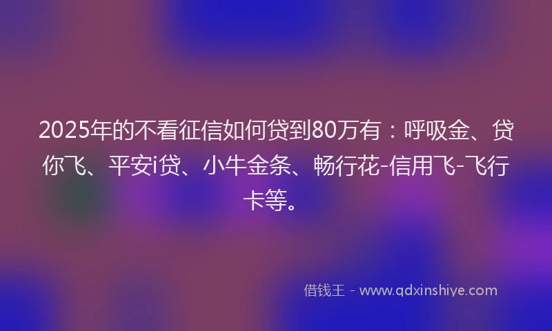 2025年的不看征信如何贷到80万有：呼吸金、贷你飞、平安i贷、小牛金条、畅行花-信用飞-飞行卡等。