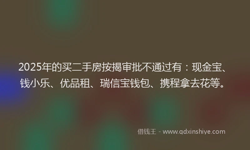 2025年的买二手房按揭审批不通过有：现金宝、钱小乐、优品租、瑞信宝钱包、携程拿去花等。