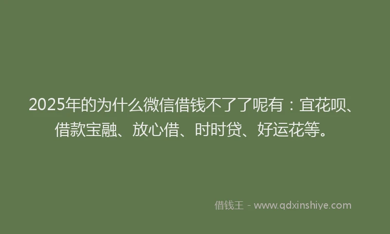 2025年的为什么微信借钱不了了呢有：宜花呗、借款宝融、放心借、时时贷、好运花等。
