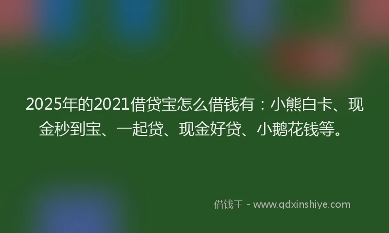 2025年的2021借贷宝怎么借钱有：小熊白卡、现金秒到宝、一起贷、现金好贷、小鹅花钱等。